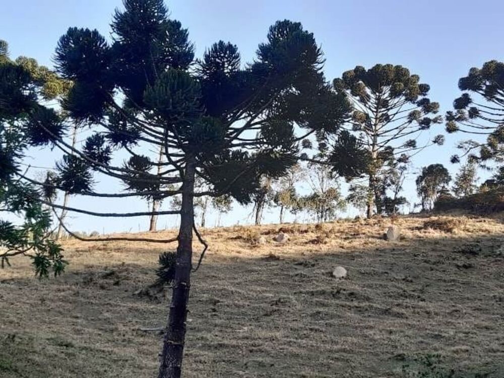 Terreno à venda, 170000m² - Foto 5