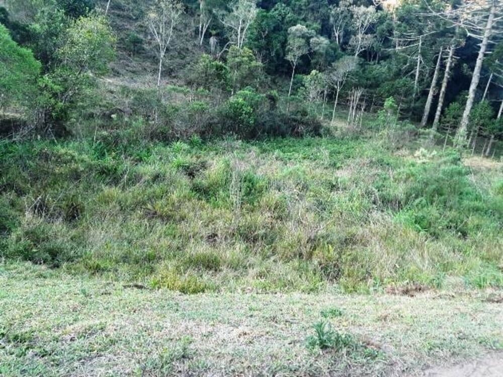 Terreno à venda, 170000m² - Foto 2