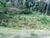 Terreno, 17 hectares - Foto 2