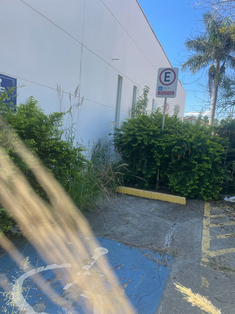 Loja-Salão para alugar, 300m² - Foto 5