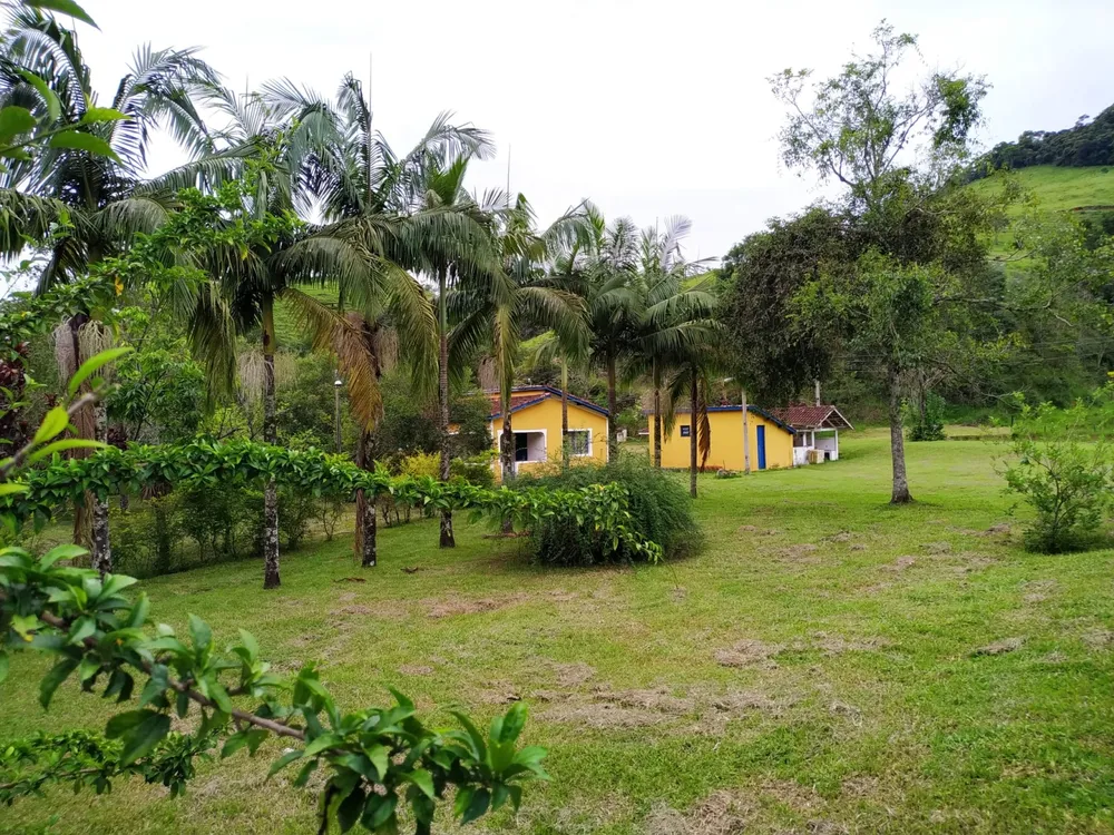 Fazenda, 128 hectares - Foto 4