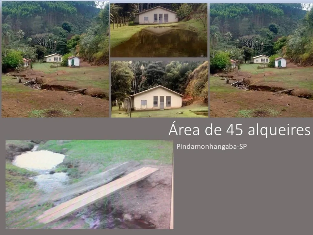 Sítio, 3 quartos, 109 hectares - Foto 2