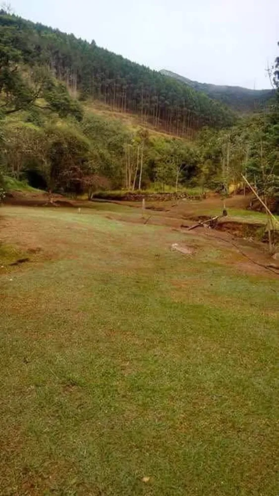 Sítio, 3 quartos, 109 hectares - Foto 1