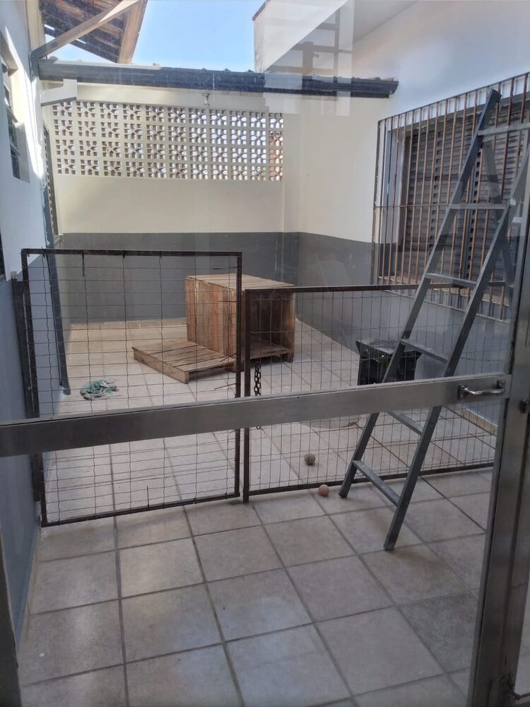 Casa, 3 quartos, 207 m² - Foto 11