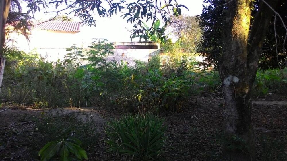 Casa à venda com 5 quartos, 305m² - Foto 25