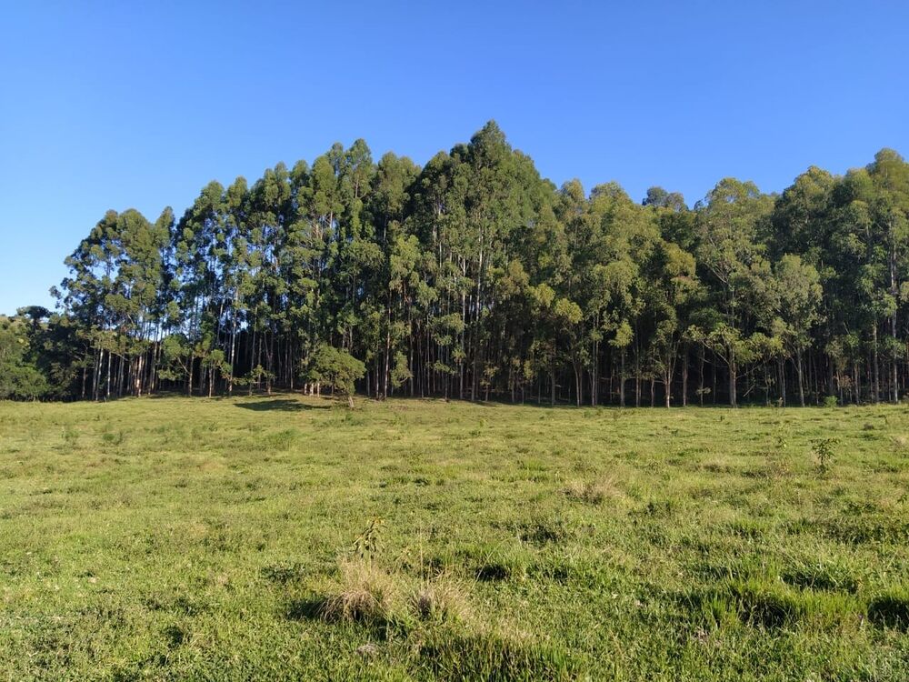 Terreno à venda, 20000m² - Foto 1