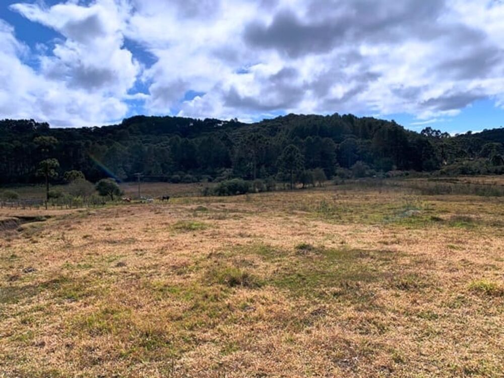 Terreno à venda, 20000m² - Foto 3