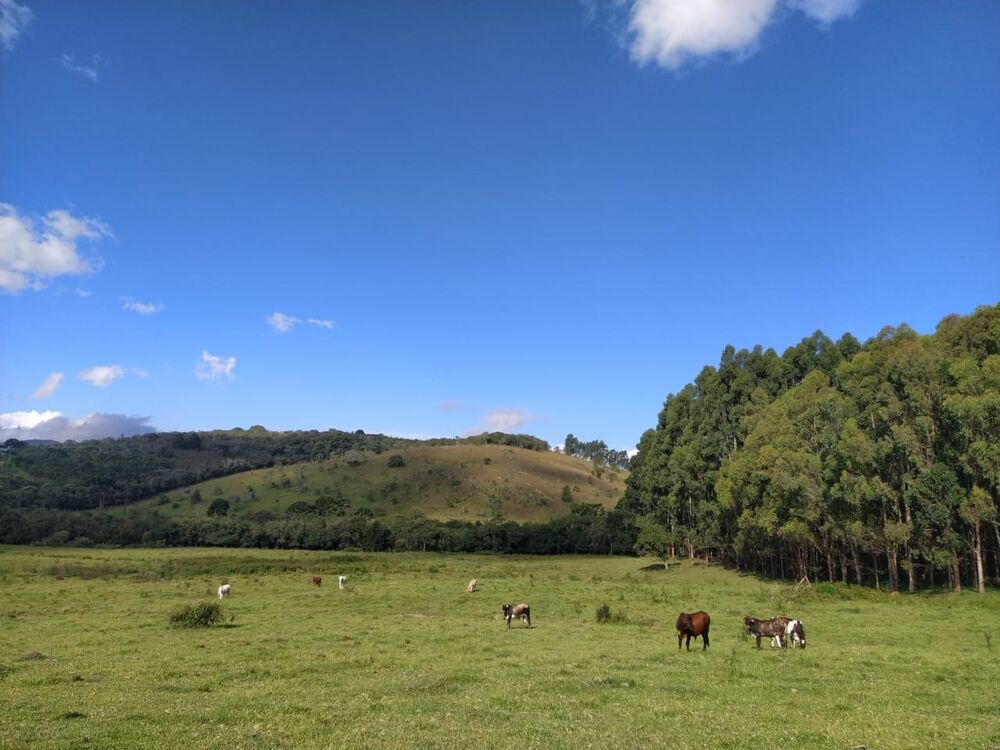 Terreno à venda, 20000m² - Foto 2