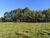 Terreno, 2 hectares - Foto 1