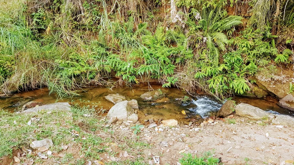 Sítio, 1 quarto, 11 hectares - Foto 4
