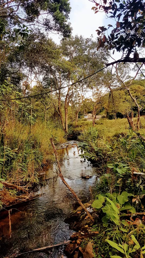 Sítio, 1 quarto, 11 hectares - Foto 1