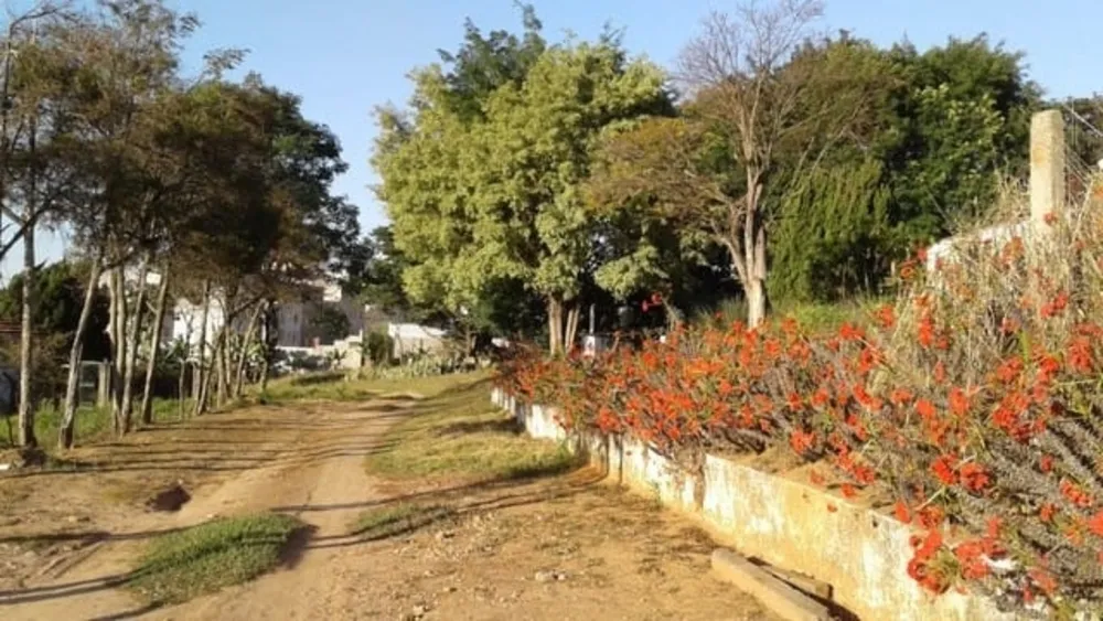 Terreno, 2 hectares - Foto 1