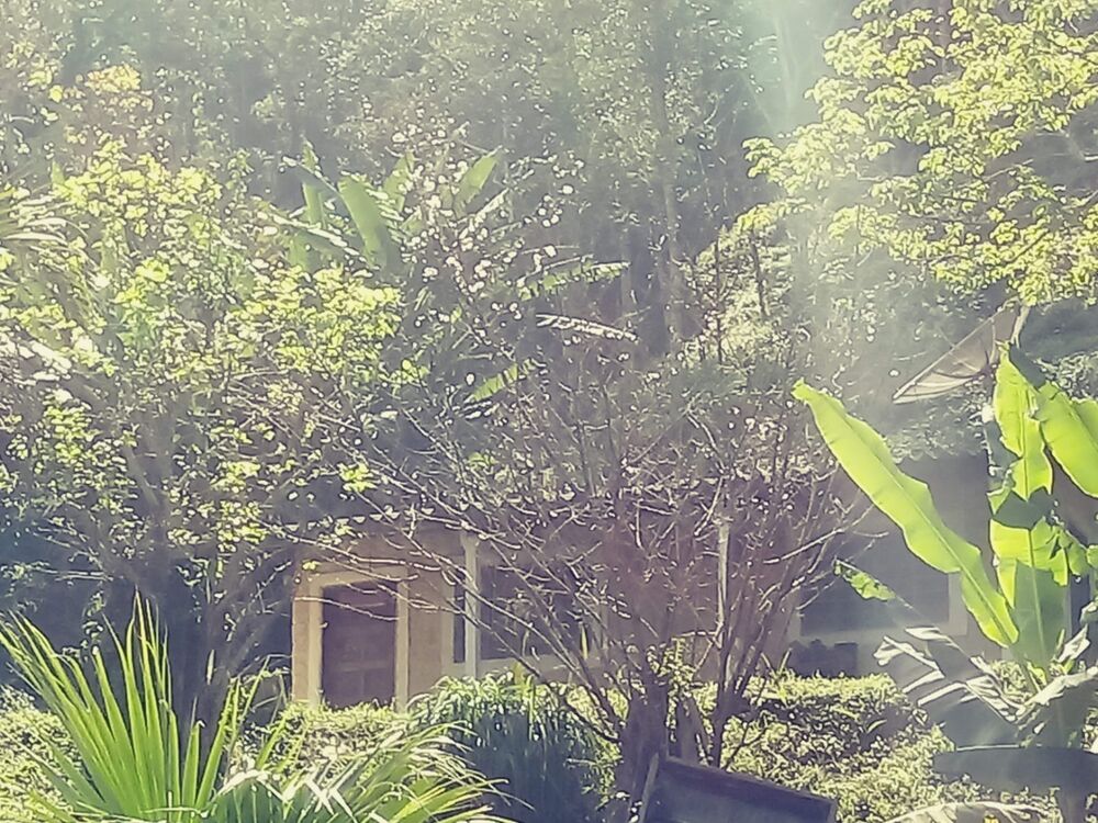 Chácara à venda com 2 quartos, 26000m² - Foto 5