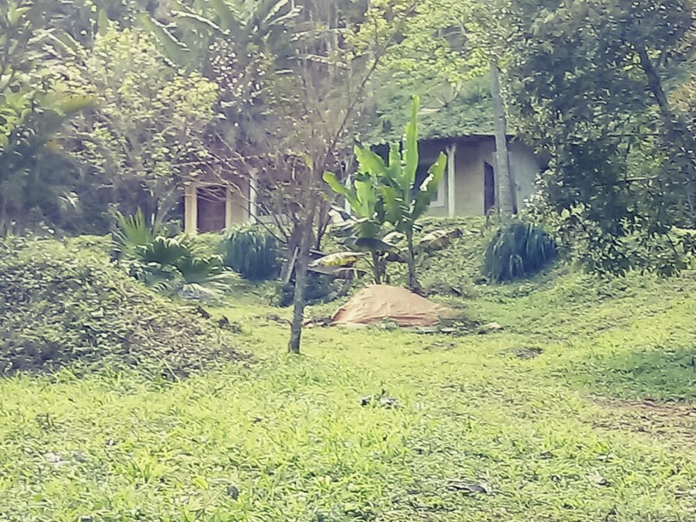 Chácara à venda com 2 quartos, 26000m² - Foto 6