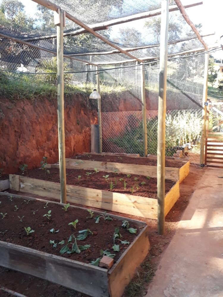 Chácara à venda com 2 quartos, 12000m² - Foto 4