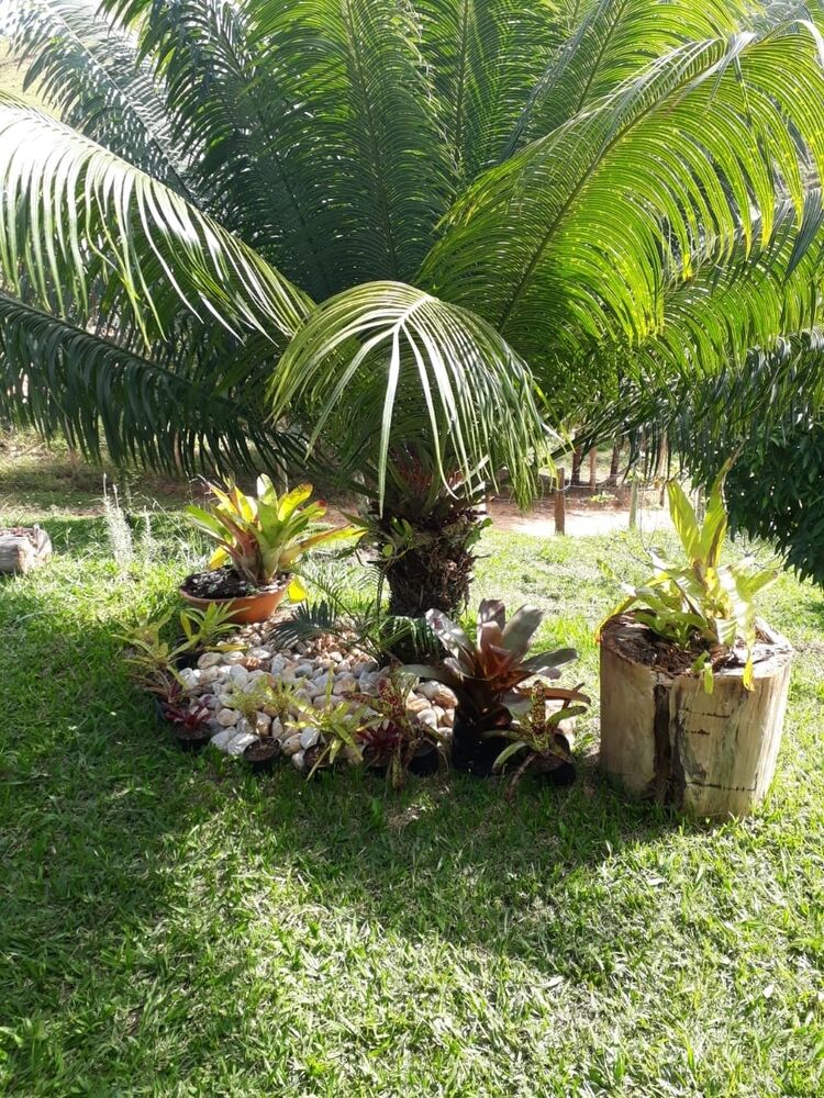Chácara à venda com 2 quartos, 12000m² - Foto 2