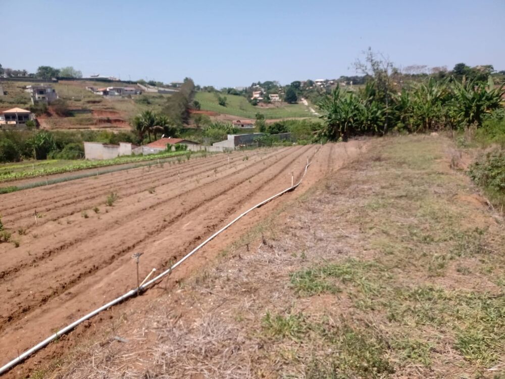 Casa, 4 quartos, 250 m² - Foto 9