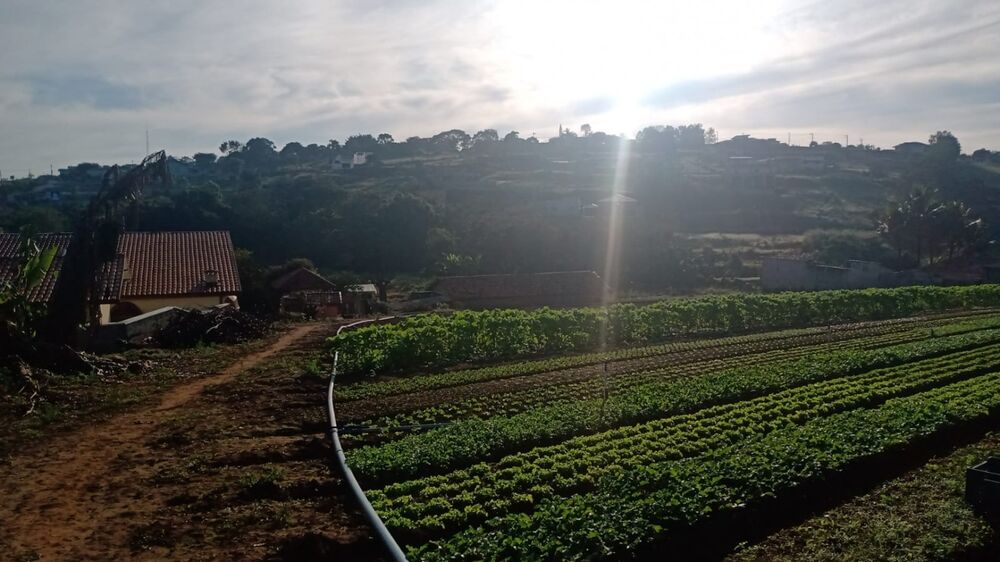 Casa, 4 quartos, 250 m² - Foto 3