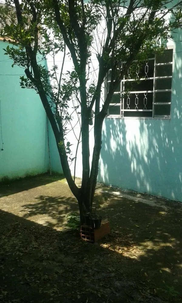 Casa, 2 quartos, 125 m² - Foto 3