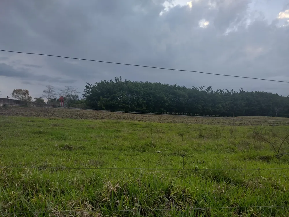 Terreno, 1000 m² - Foto 1