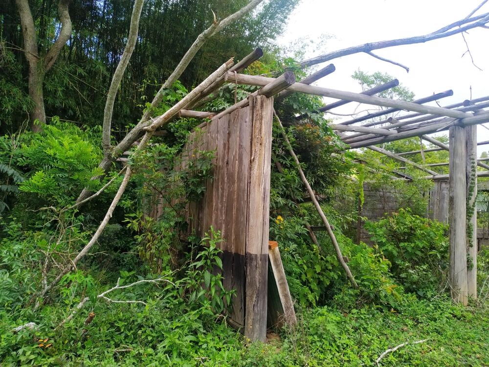 Terreno, 170 hectares - Foto 9