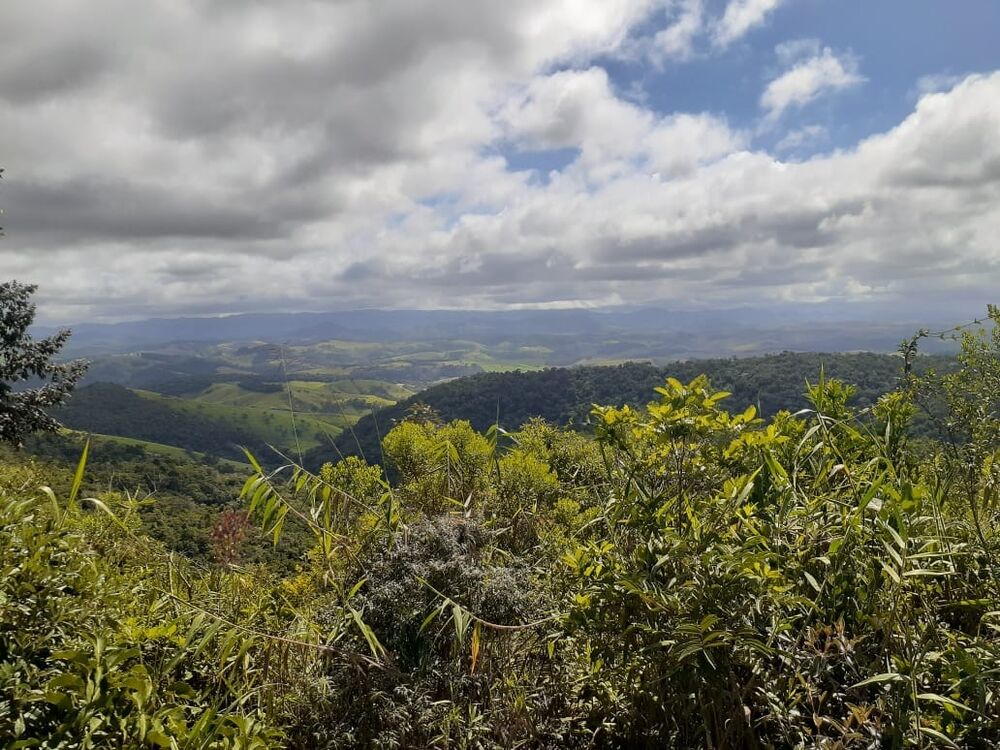 Terreno, 170 hectares - Foto 17