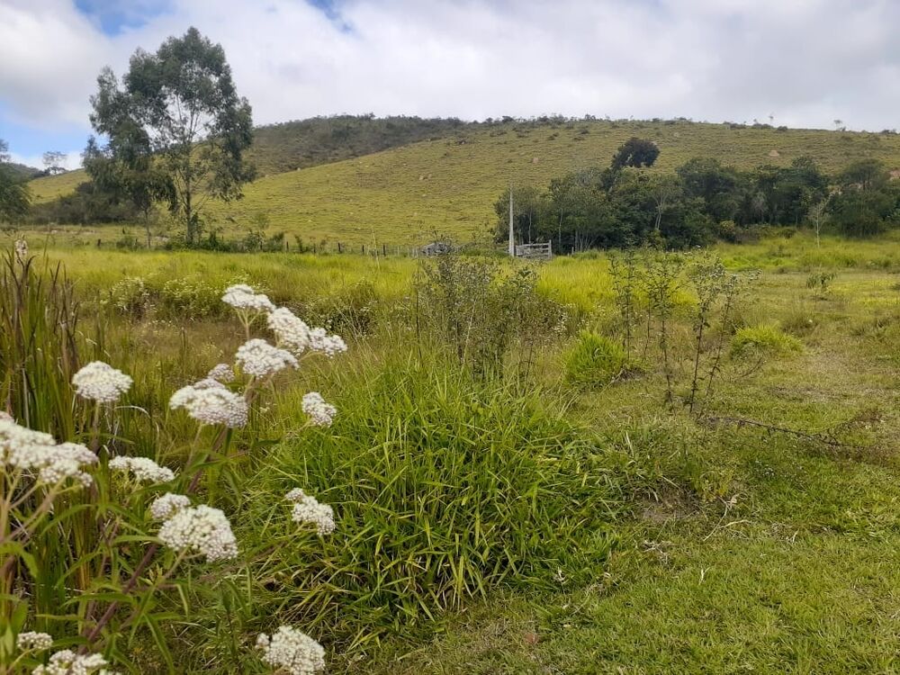Terreno, 170 hectares - Foto 18