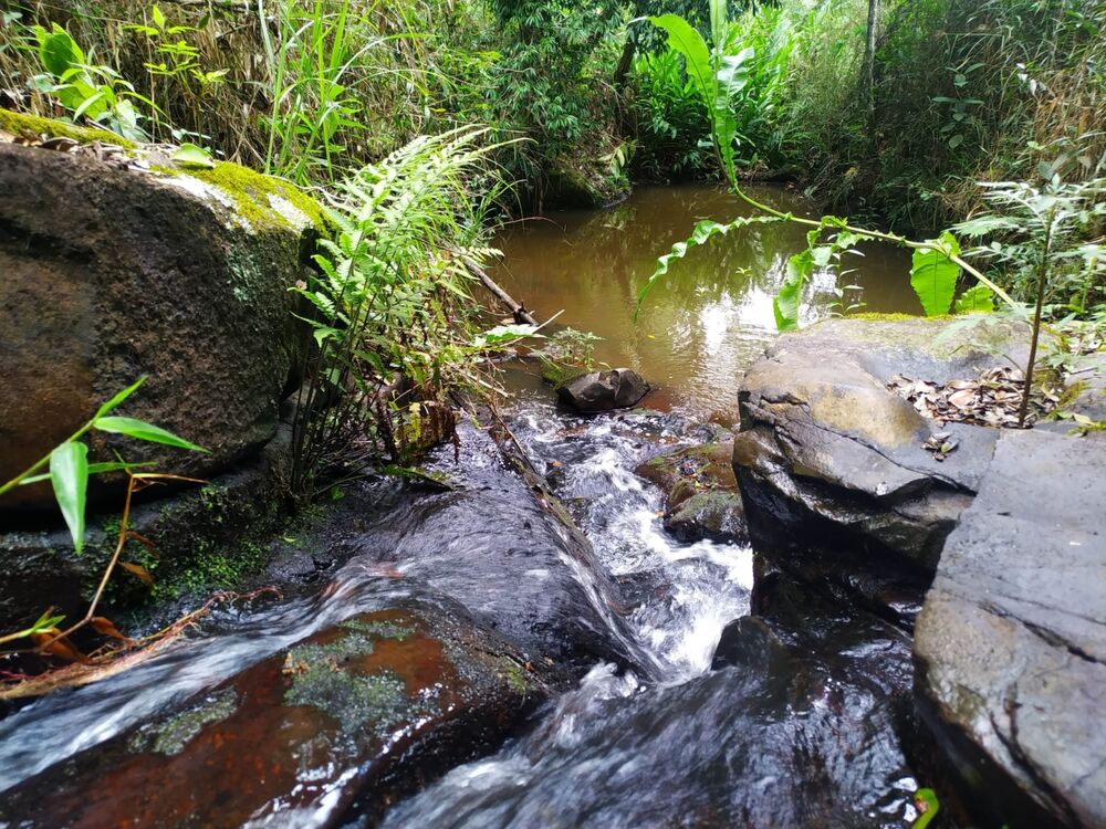 Terreno, 170 hectares - Foto 7