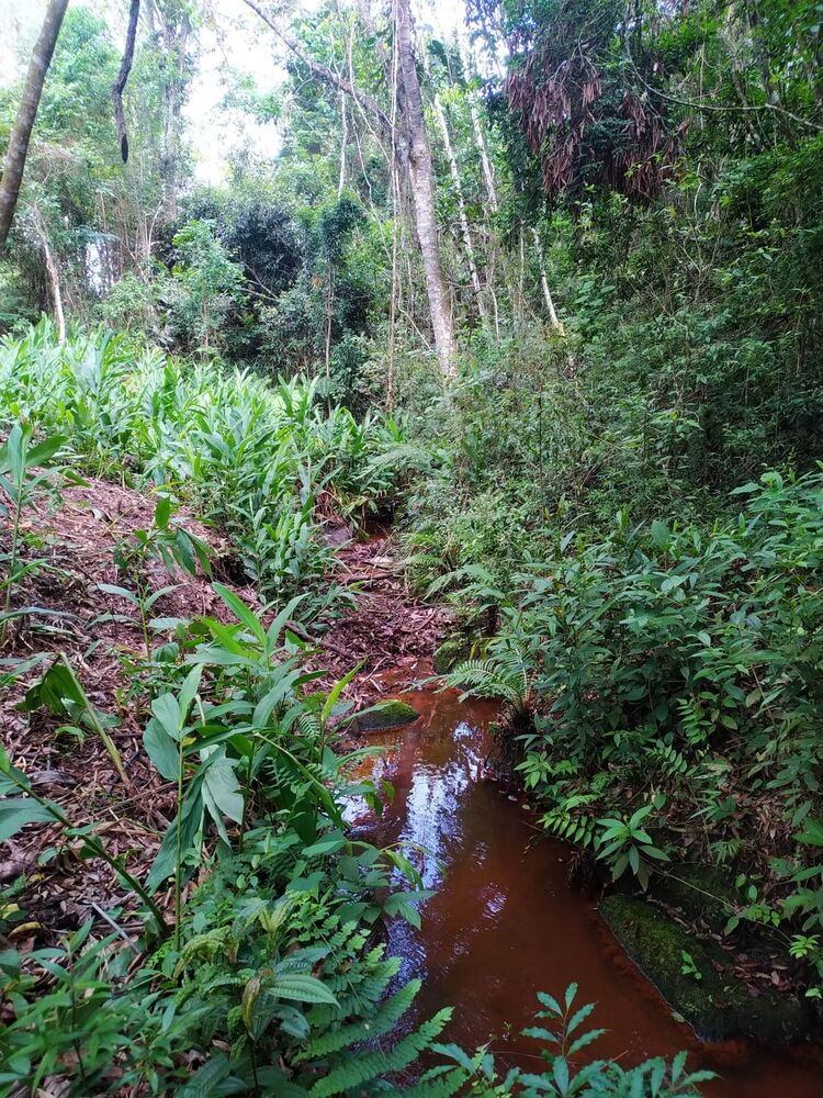 Terreno, 170 hectares - Foto 5