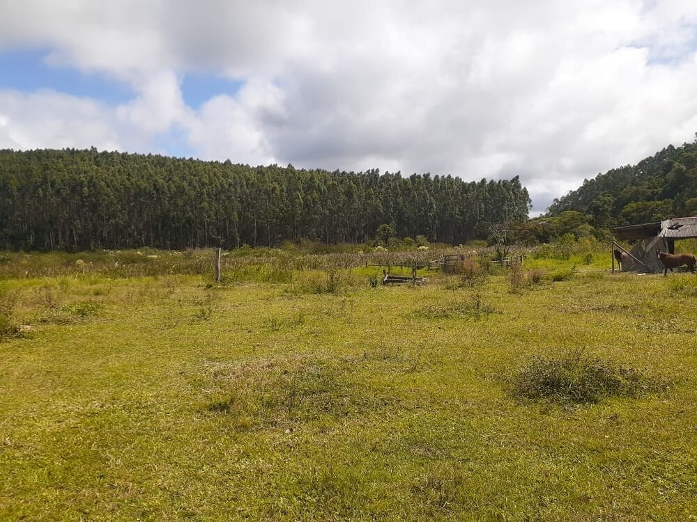 Terreno, 170 hectares - Foto 15