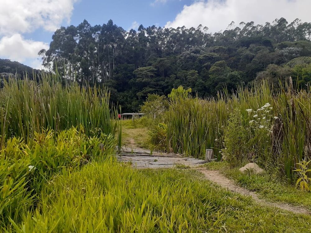 Terreno, 170 hectares - Foto 14