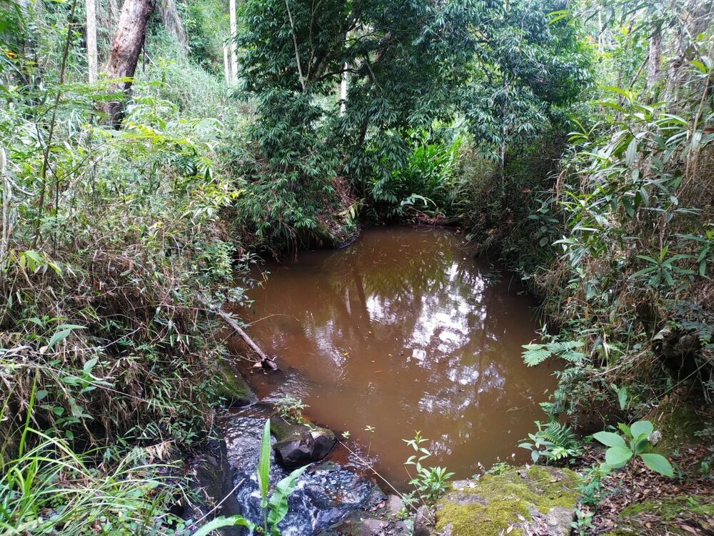 Terreno, 170 hectares - Foto 8