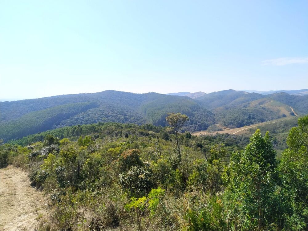 Terreno, 170 hectares - Foto 1