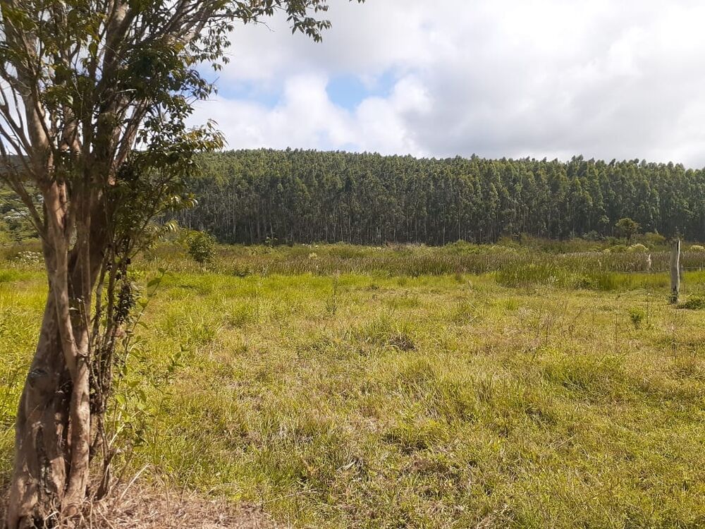 Terreno, 170 hectares - Foto 16