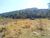 Terreno, 170 hectares - Foto 2
