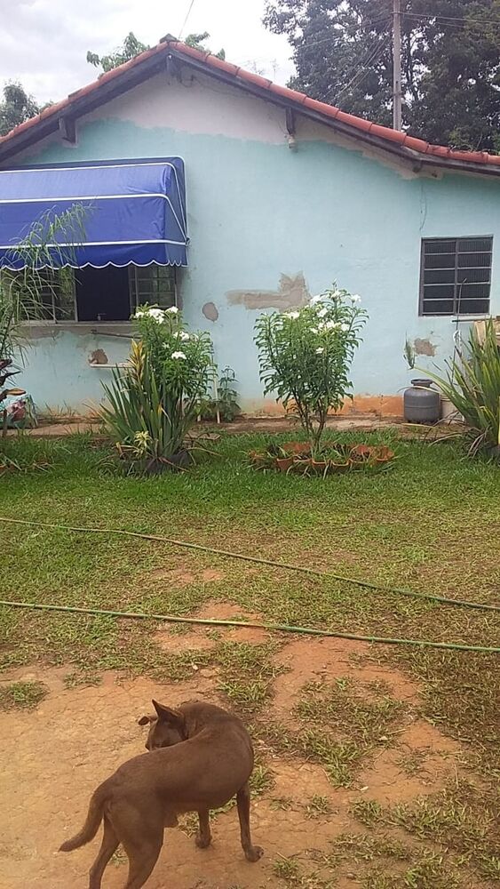 Terreno, 1 hectares - Foto 1