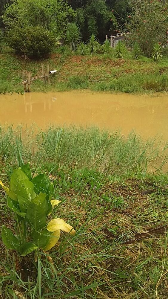 Terreno, 1 hectares - Foto 7