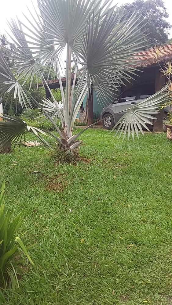 Terreno, 1 hectares - Foto 4