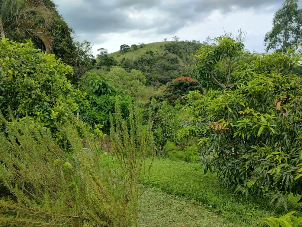 Chácara, 3 quartos, 2 hectares - Foto 1