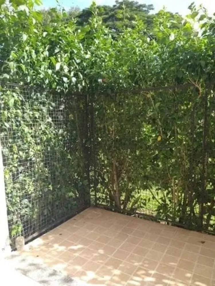 Apartamento, 3 quartos, 70 m² - Foto 12
