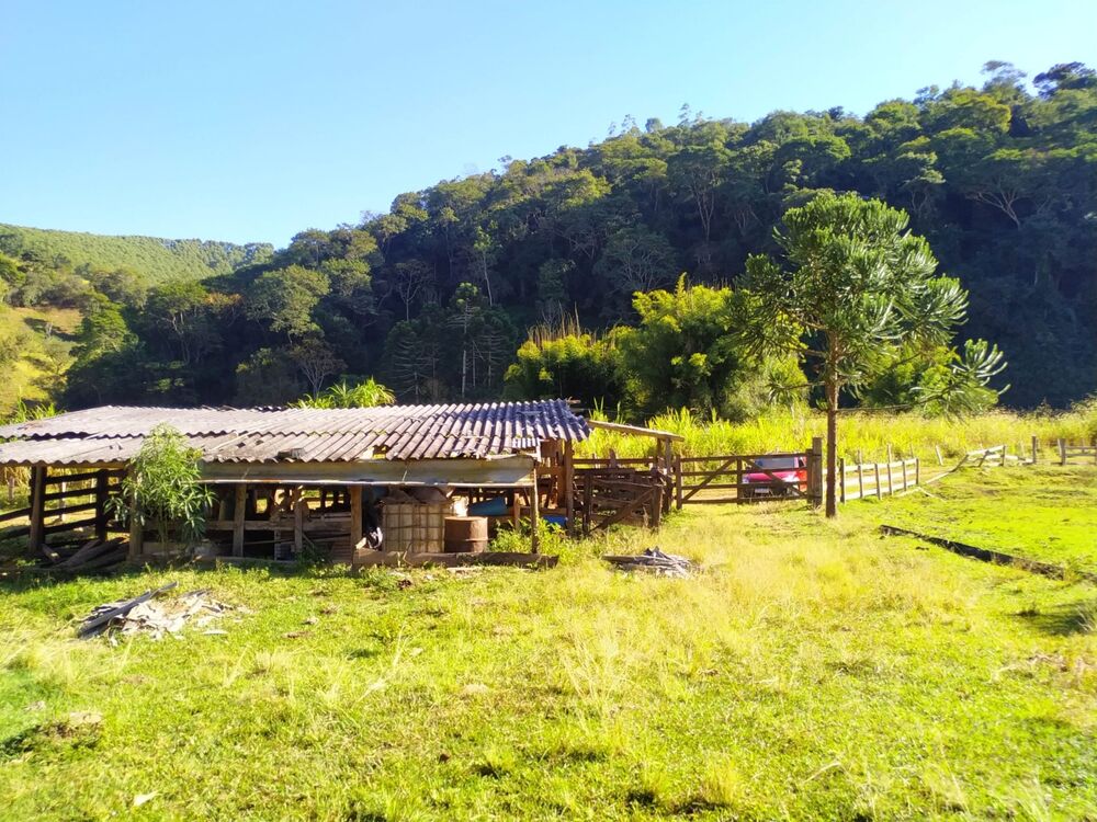 Sítio à venda com 3 quartos, 36000m² - Foto 5
