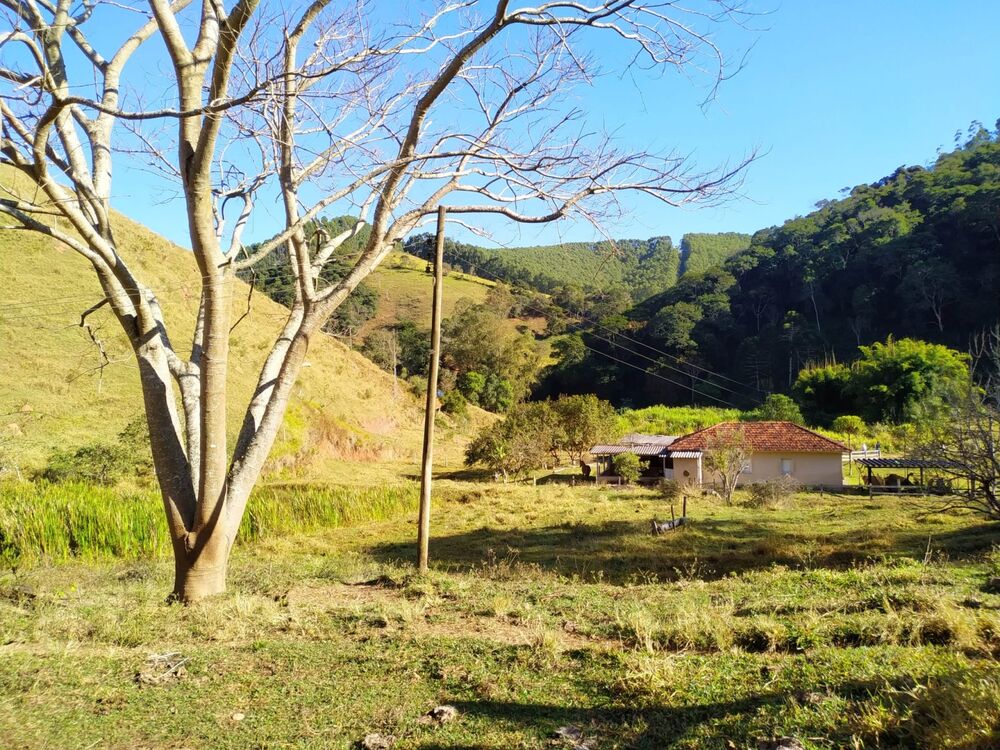 Sítio à venda com 3 quartos, 36000m² - Foto 3