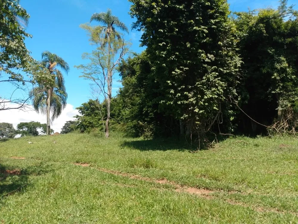 Terreno, 12 hectares - Foto 3