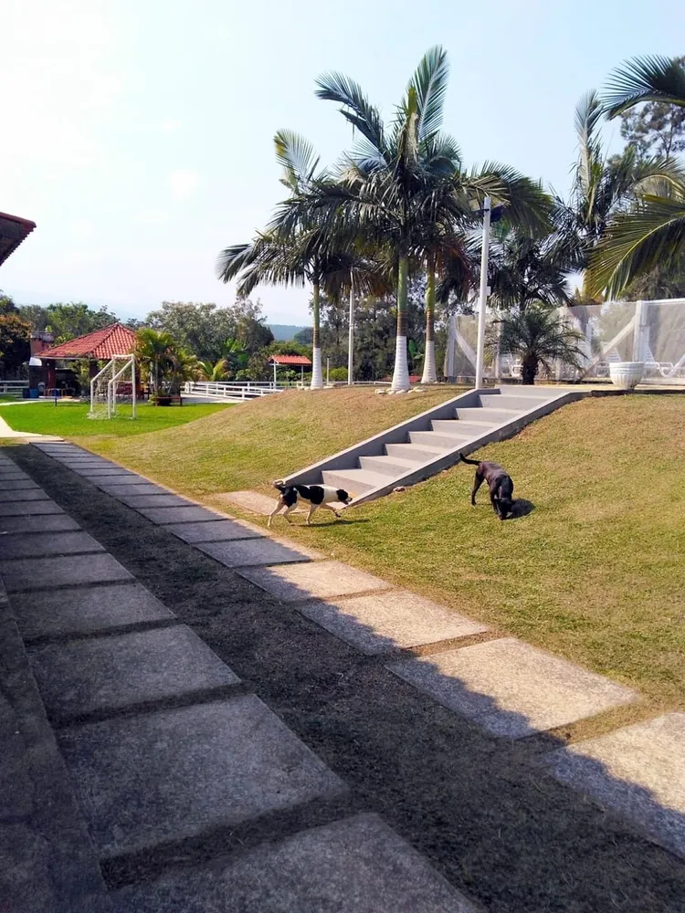 Chácara, 5 quartos, 5000 m² - Foto 2