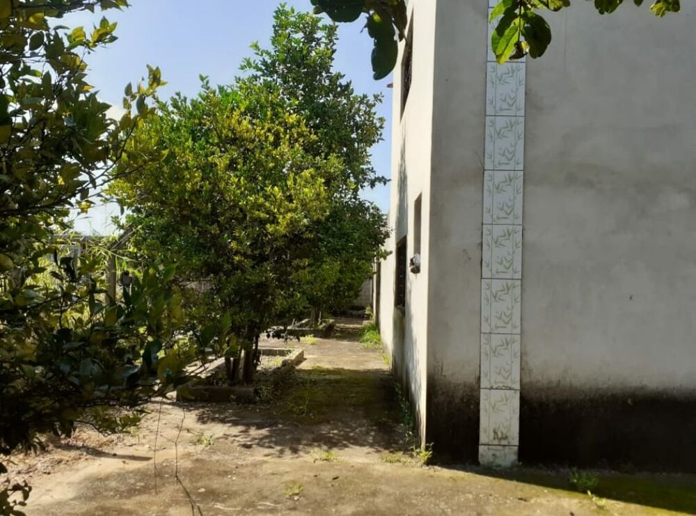 Chácara, 1 quarto, 1168 m² - Foto 4