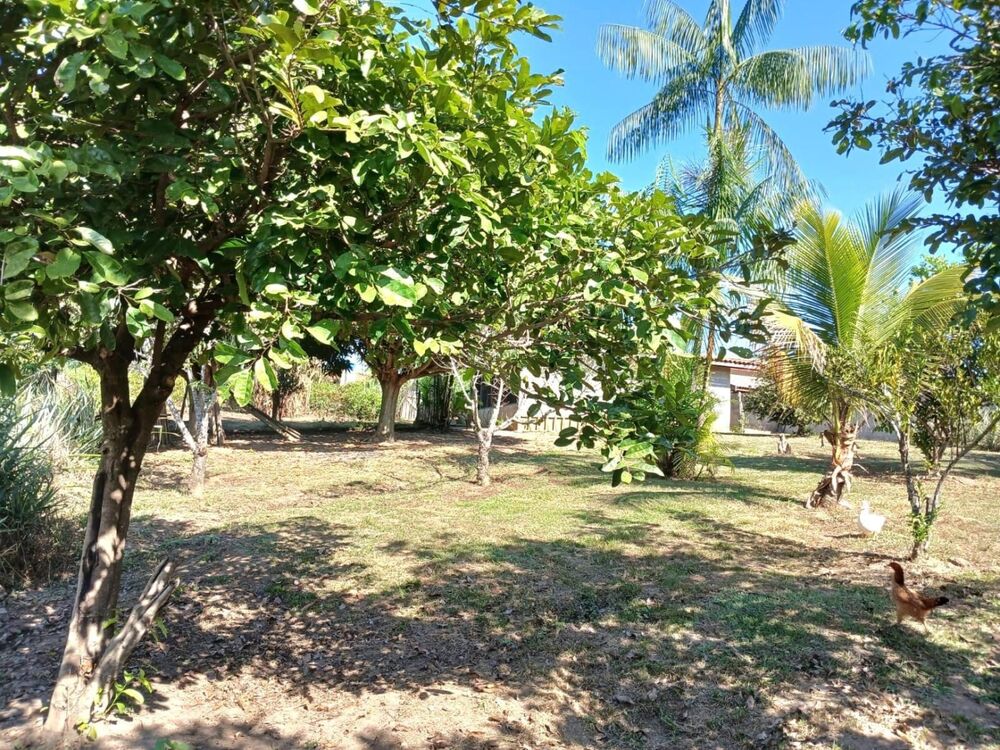 Chácara à venda e aluguel com 3 quartos, 250m² - Foto 3