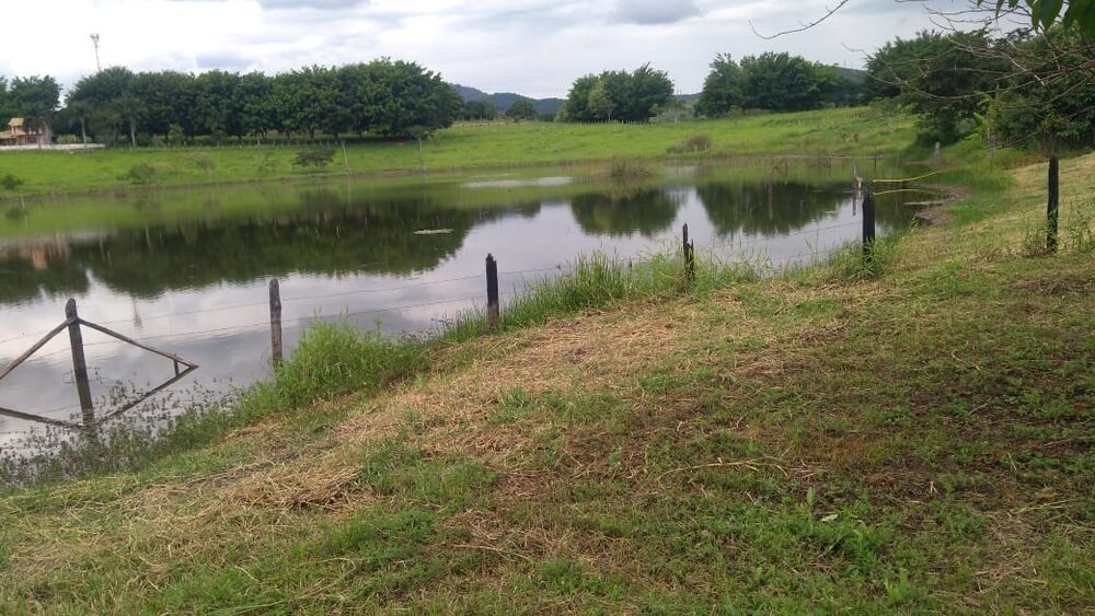 Chácara à venda e aluguel com 3 quartos, 250m² - Foto 1