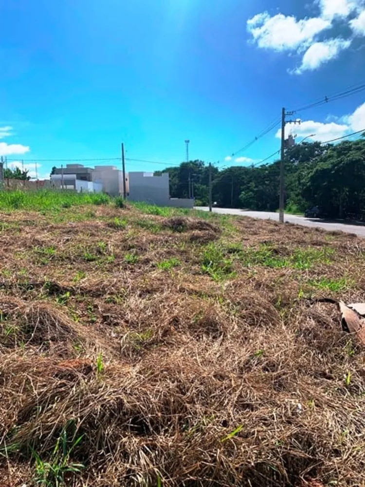 Terreno, 290 m² - Foto 1