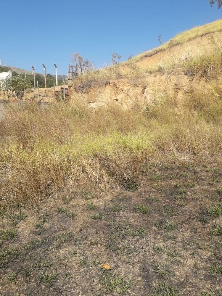 Terreno à venda, 250m² - Foto 1