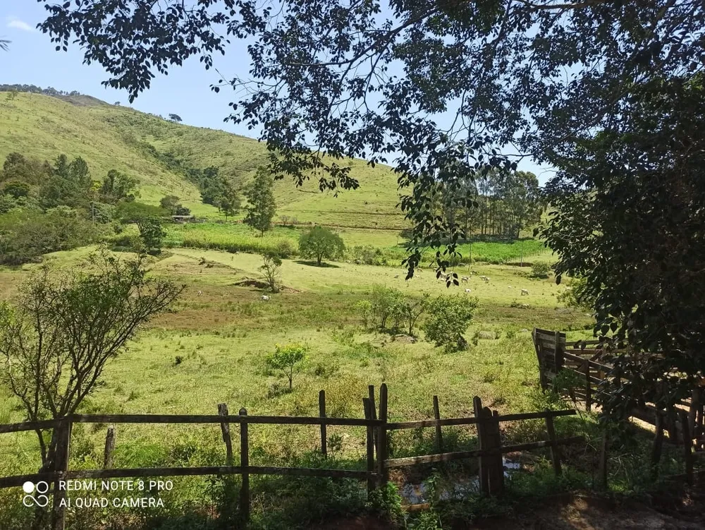 Sítio, 2 quartos, 29 hectares - Foto 2